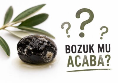 zeytin-nasil-saklanir-bozuldugu-nasil-anlasilir-blog-gorsel