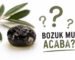 zeytin-nasil-saklanir-bozuldugu-nasil-anlasilir-blog-gorsel