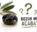 zeytin-nasil-saklanir-bozuldugu-nasil-anlasilir-blog-gorsel