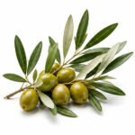 irmak-zeytin-3-lu-anasayfa-1-gorsel