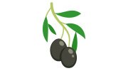 siyah-zeytin-kategori-icon